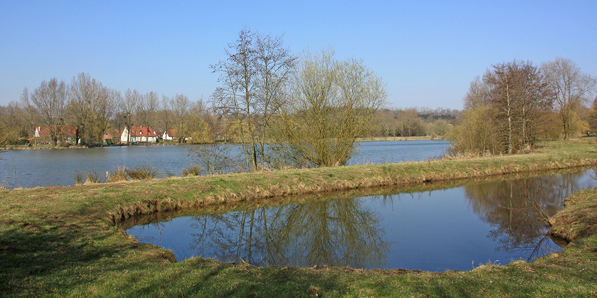 marais_de_la_grenouillere_24_jlvandeweghe-aeap.jpg