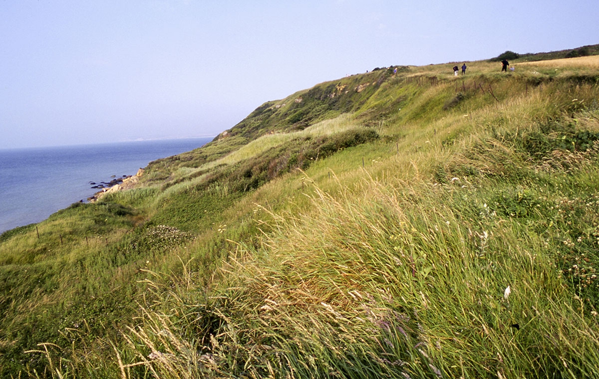 Dune du cap gris nez cap_gris_nez_clair_dimages-olivier_mullie.jpg