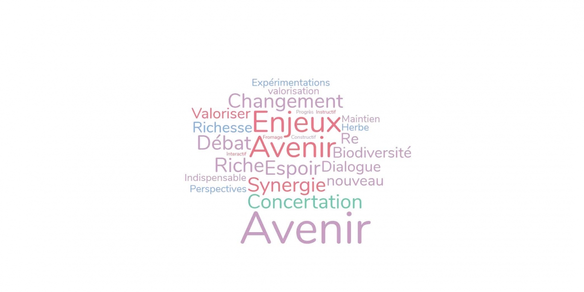 nuage-de-mots.jpg