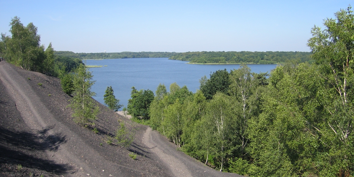 page_32_mare_goriaux_2.jpg