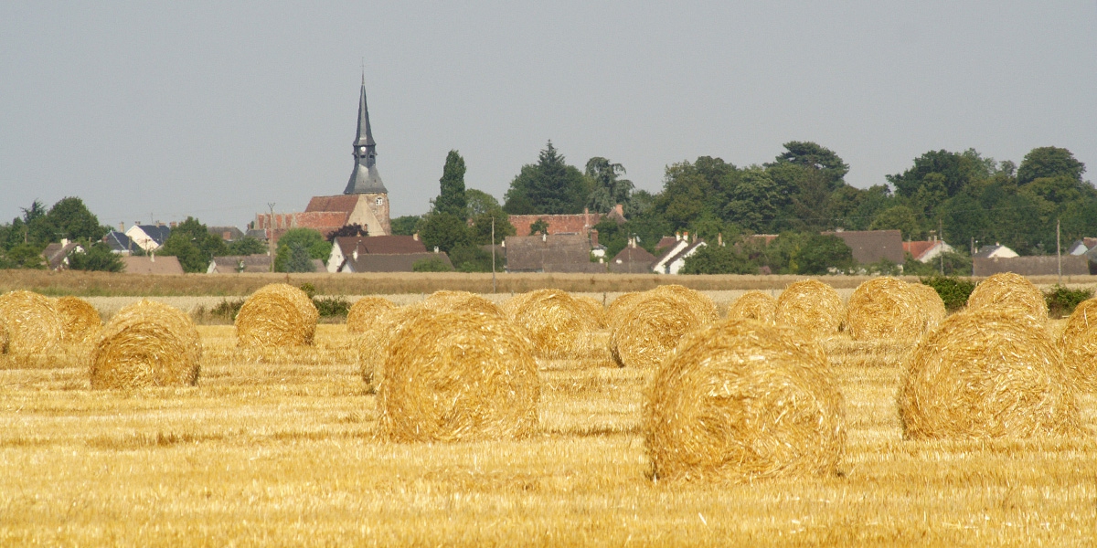 urbain-rural_fotolia_926851.jpg