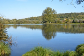 dsc_0127.jpg