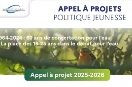 flyer_-_appel_a_projet_-_politique_jeunesse_page-0001.jpg